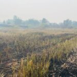 दिल्ली ने फसल क्षति मुआवजे में 50% से अधिक की वृद्धि की, 10,000 किसानों को राहत