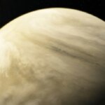 Venus