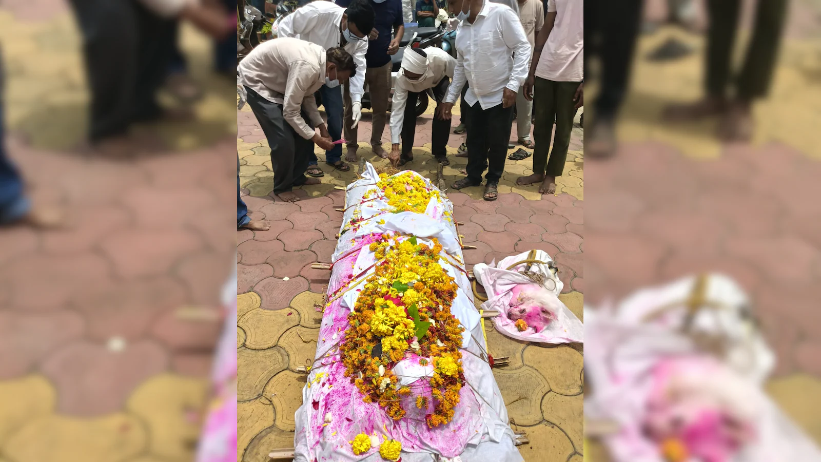 अंतिम यात्रा तक: बैतूल आदमी का वफादार कुत्ता उसकी बियर के बगल में मर गया