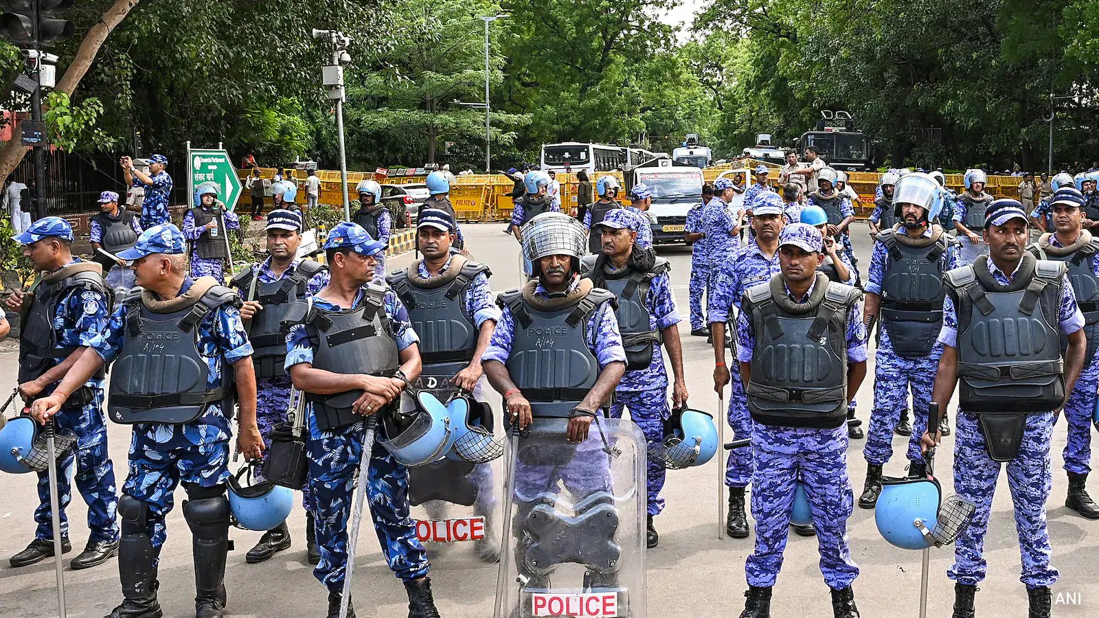 आक्रोश के बाद, रैपिड एक्शन फोर्स ने दिल्ली में पैलेट गन और शौक़ीन हथियारों पर प्रतिबंध लगा दिया: सूत्र