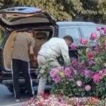 ईमानदारी की कमी: कैसे छोटी-मोटी चोरी भारत को पीछे धकेल रही है