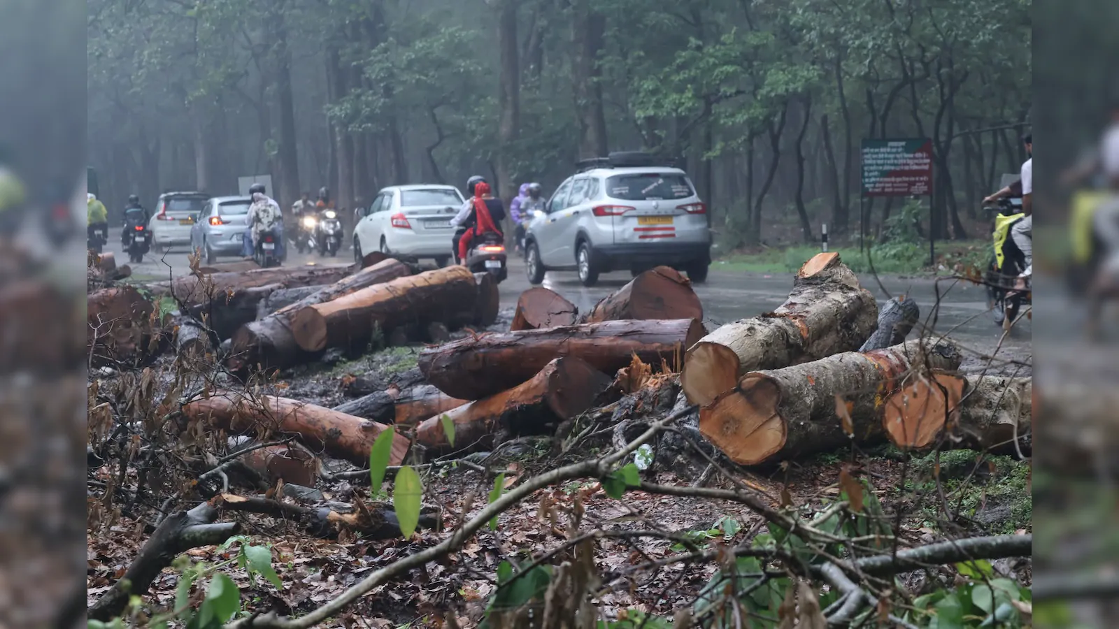 उत्तराखंड सड़क परियोजना के लिए 3,000 पेड़ काटे गए, कार्यकर्ता हथियारबंद