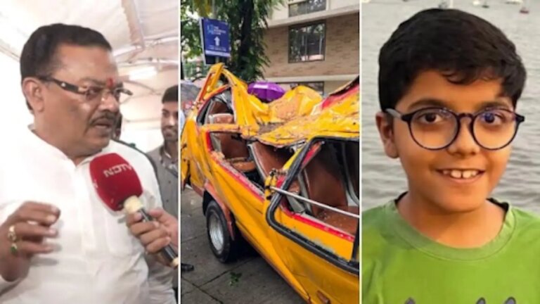 'पेड़ों का गिरना मानव नियंत्रण से परे': मुंबई के स्कूली बच्चे की मौत पर मंत्री