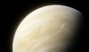 Venus Transit