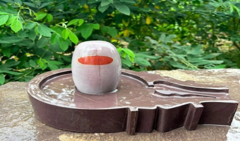 Narmadeshwar Shivling