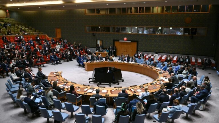 क्या UNSC की स्थायी सदस्यता और वीटो शक्तियाँ समाप्त कर दी जानी चाहिए?