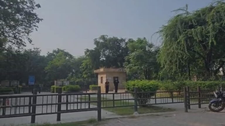 दिल्ली पार्क में दहशत के साथ खत्म हुआ जन्मदिन: गैंगरेप पीड़िता ने पुलिस को क्या बताया?