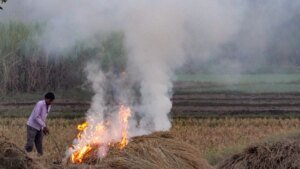 विश्लेषण: कम आग, वही कोहरा: 2027 के चुनावों से पहले पंजाब की पराली की राजनीति