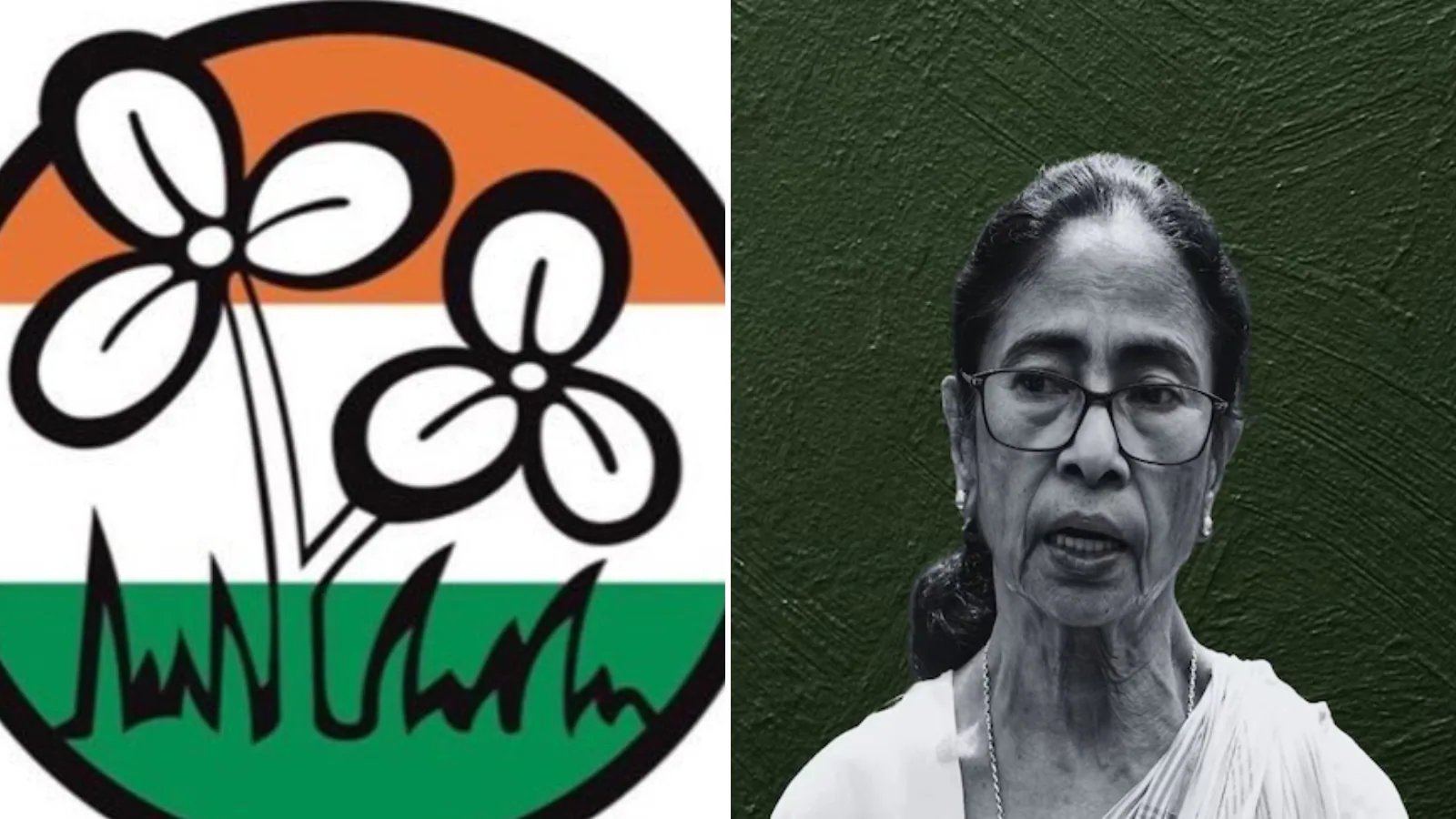 विश्लेषण:तृणमूल चुनाव चिह्न के 2 फूलों का वितरण, पार्टी के भविष्य पर सवाल