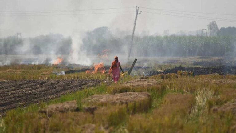 दिल्ली सरकार 18 साल बाद कृषि भूमि के सर्कल रेट बढ़ा सकती है